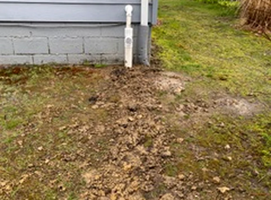 Downspout & Discharge Lines project image