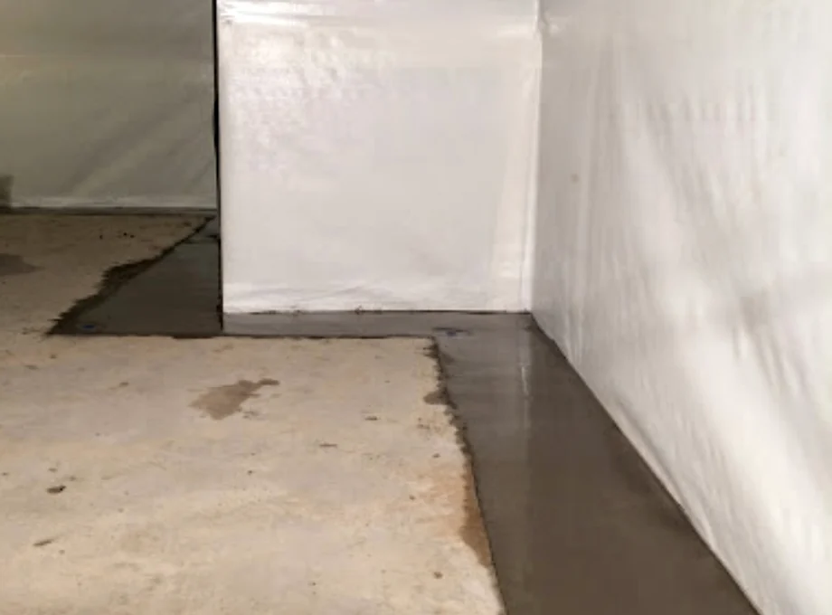 Basement Moisture Control project image